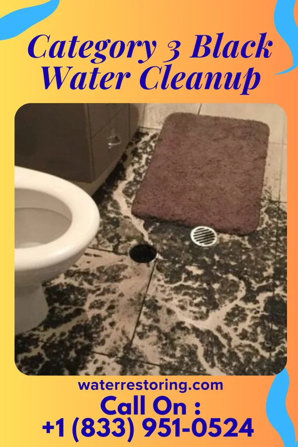 Category 3 Black Water Cleanup in Dunean, SC